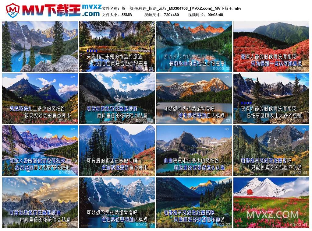 贺一航-冤枉路_国语_流行_MD304703